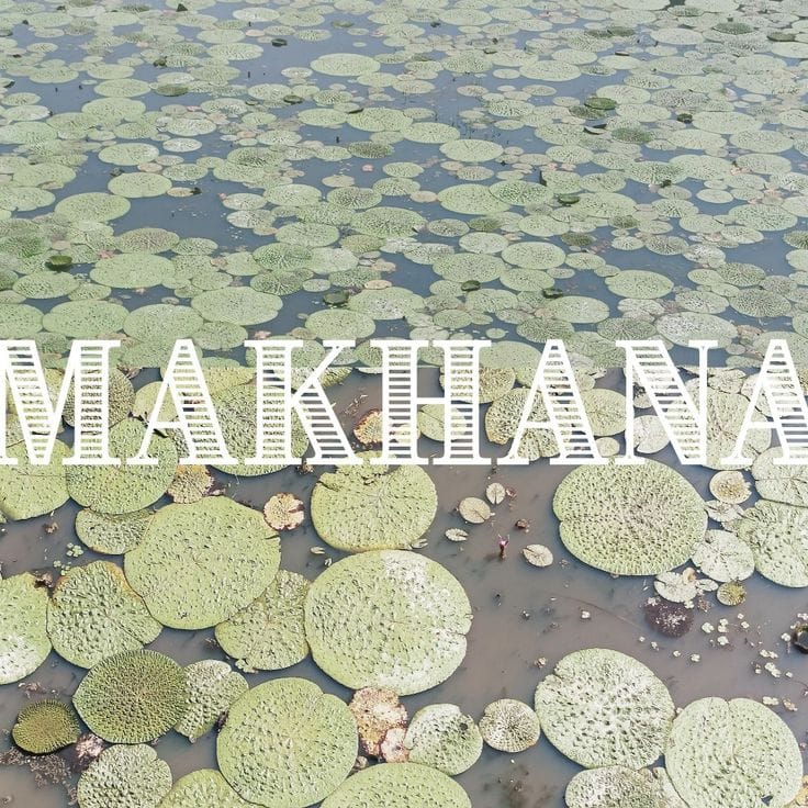 Bihar Makhana Fields